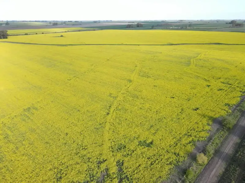 Campo En Venta 130 Has Agrícolas Gualeguaychú Agrofy