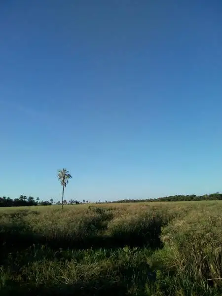 Campo Ganadero Has Gral San Martin Agrofy