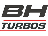 Sucursal Online de  BH Turbos