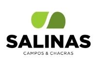 Sucursal Online de  Salinas y Asociados