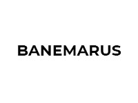 Sucursal Online de  Banemarus