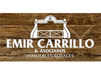 Emir Carrillo y Asociados