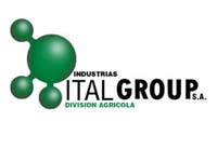 Ital Group