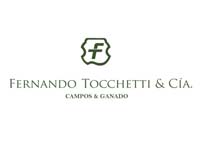 Sucursal Online de  Fernando Tocchetti & Cia.