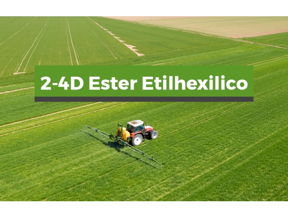 Herbicida 2,4 D Ester Etilico