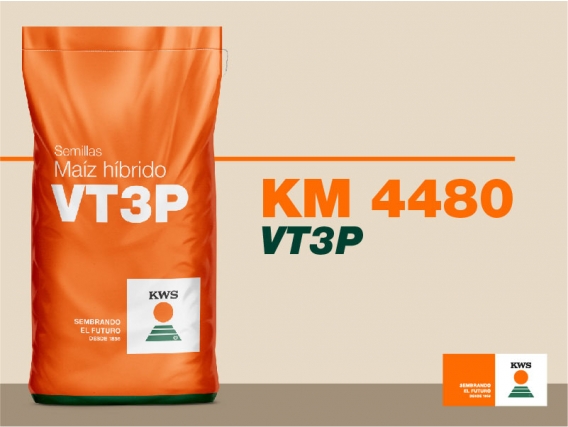 Maíz  KM 4480 Vt Triple Pro (VT3PRO) - KWS 
