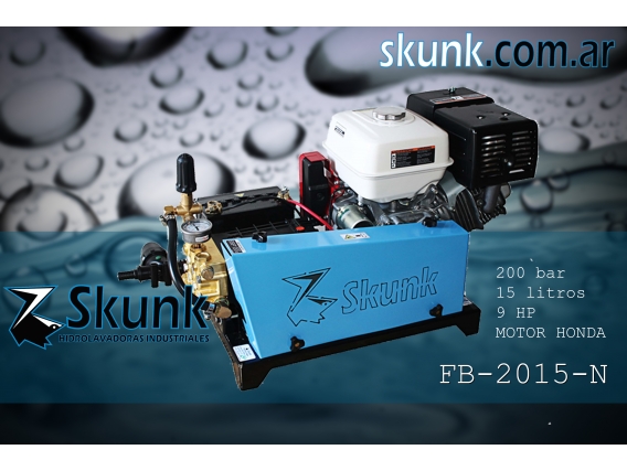 Hidrolavadora Industrial FB-2015-N Skunk