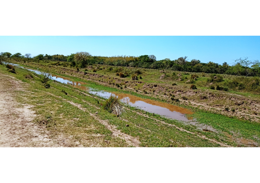 10000 Has Dto. Berón De Astrada, Corrientes. Apto Arroz Agrofy