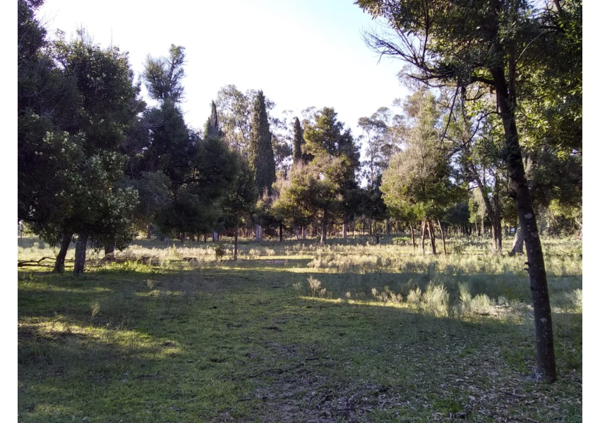 9.4 Hectáreas, Venta Conjunta O Parcial En Las Tahonas Agrofy