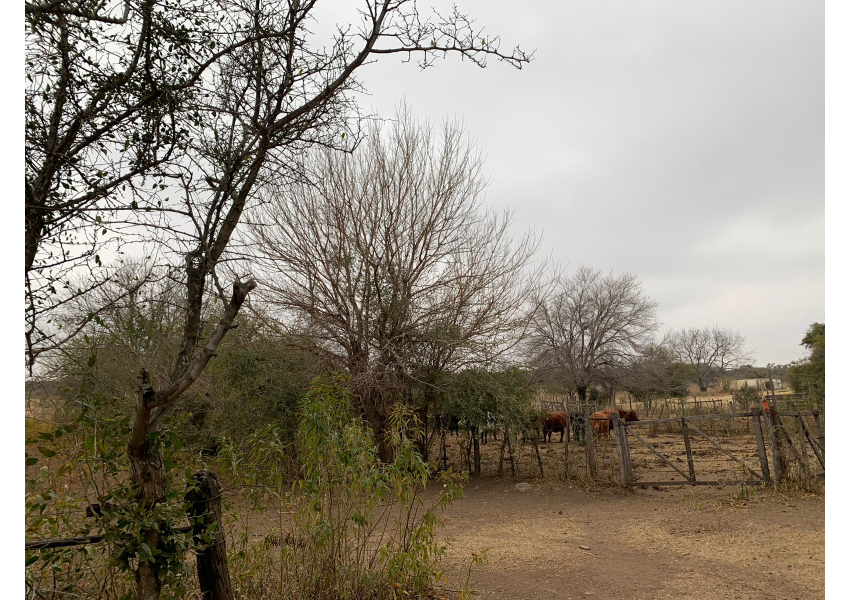 Campo De 110 Hectareas En Cañada De Rio Pinto, Cordoba. Agrofy
