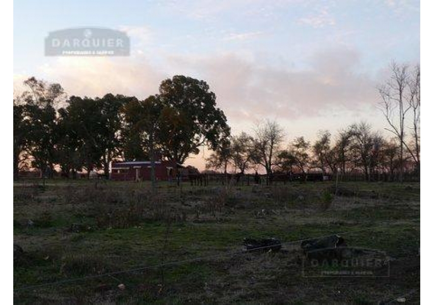 Campo En Venta. Lobos. Bs. Aires. 308 Has. Agricola | Agrofy