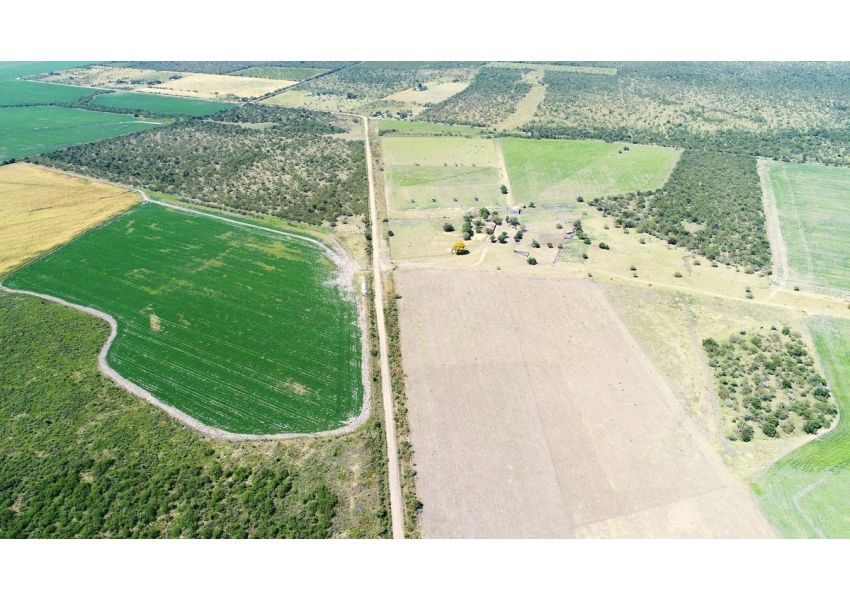 Lucas Norte Entre Rios 450 Ha Campo Agricola Agrofy Lucas Norte Entre Rios 450 Ha Campo Agricola Agrofy