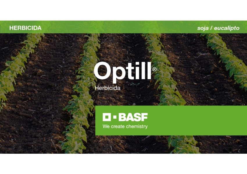 Herbicida Optill® Imazetapir + Saﬂufenacil - BASF | Agrofy