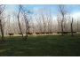 undefined - 2 undefined - 2