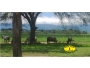 undefined - 3 undefined - 3
