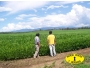 undefined - 2 undefined - 2