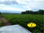 undefined - 4 undefined - 4