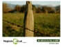 undefined - 1 undefined - 1