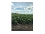 undefined - 1 undefined - 1