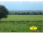 undefined undefined