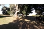 undefined - 1 undefined - 1