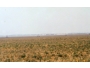 undefined - 2 undefined - 2