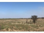 undefined - 2 undefined - 2