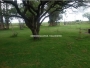 undefined - 3 undefined - 3