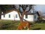 undefined - 3 undefined - 3