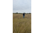 undefined - 2 undefined - 2