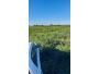 undefined - 3 undefined - 3