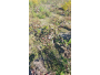 undefined - 5 undefined - 5