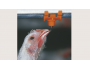 undefined - 3 undefined - 3