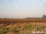 undefined - 2 undefined - 2