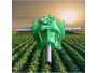 undefined - 1 undefined - 1