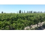 undefined - 4 undefined - 4