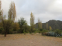 undefined - 5 undefined - 5