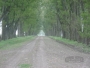 undefined - 2 undefined - 2