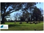 undefined - 4 undefined - 4