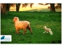 undefined - 5 undefined - 5