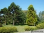undefined - 4 undefined - 4