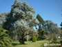 undefined - 5 undefined - 5