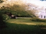 undefined - 2 undefined - 2
