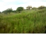 undefined - 3 undefined - 3