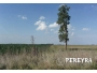 undefined - 1 undefined - 1