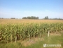 undefined - 1 undefined - 1