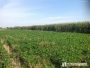 undefined - 2 undefined - 2