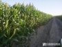 undefined - 1 undefined - 1