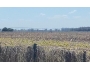 undefined - 1 undefined - 1