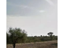 undefined - 1 undefined - 1